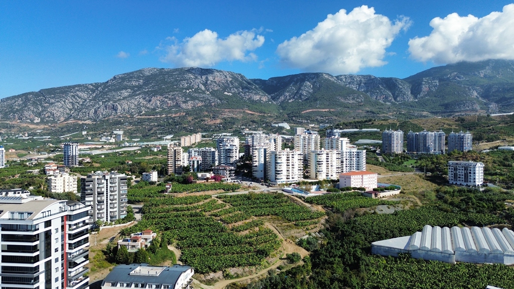 dji_fly_20251025_103714_289_1761378590013_photo_optimized