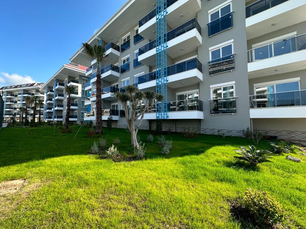 24513284732508027417calypso_08