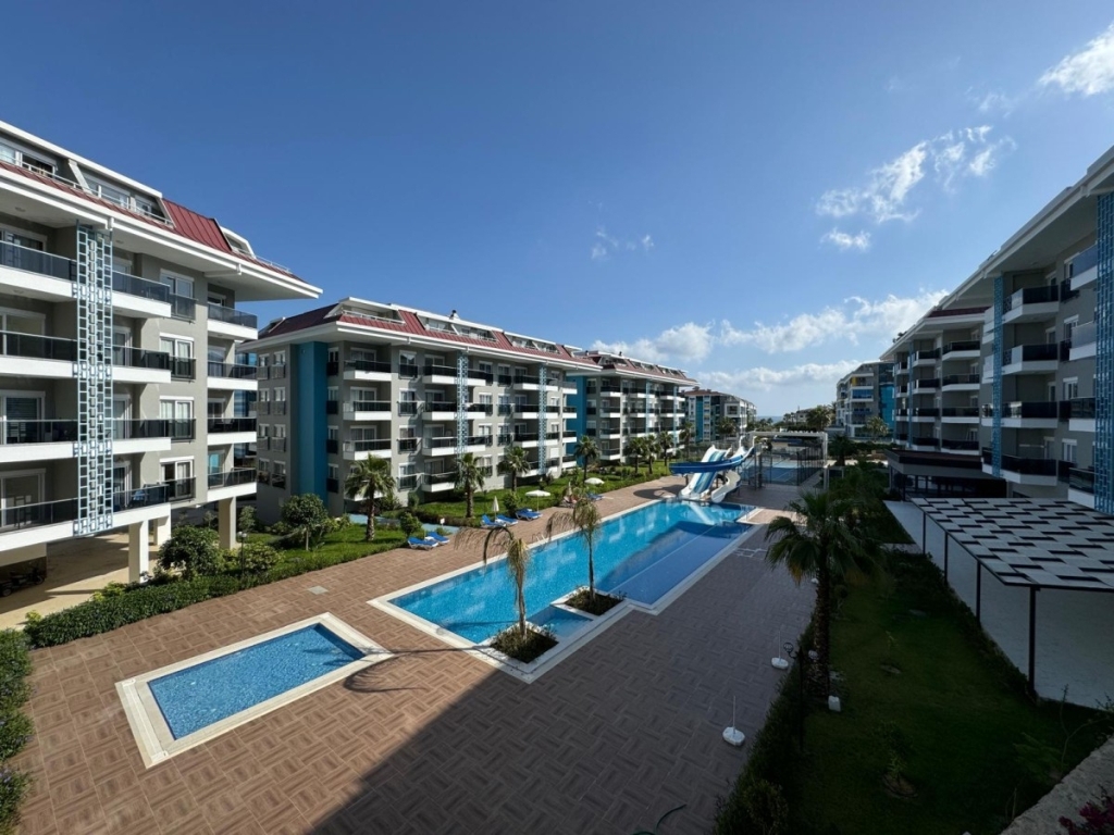 26396255242042228399calypso_14