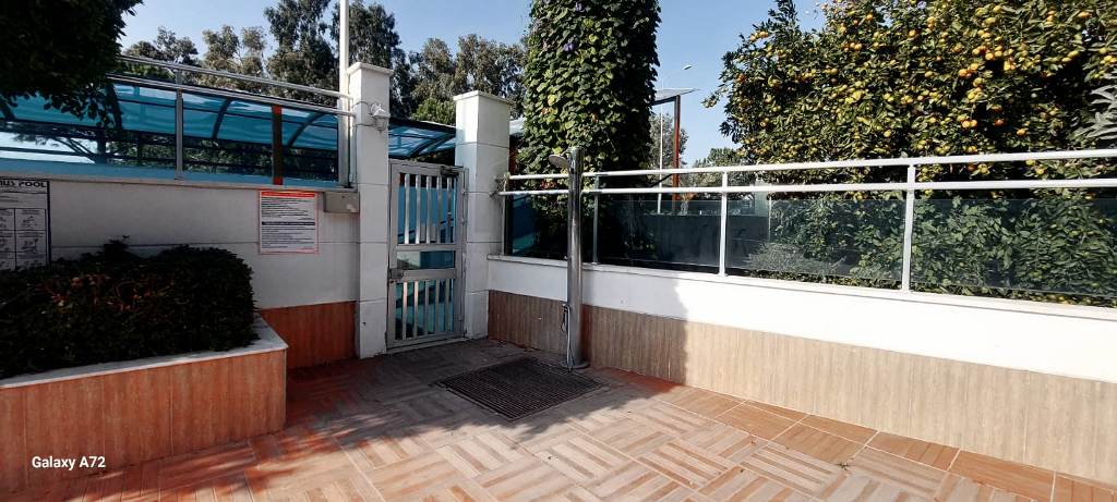 WhatsApp Image 2025-12-26 at 13.09.29