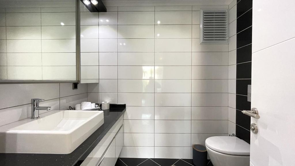 WhatsApp Image 2024-10-25 at 13.50.39