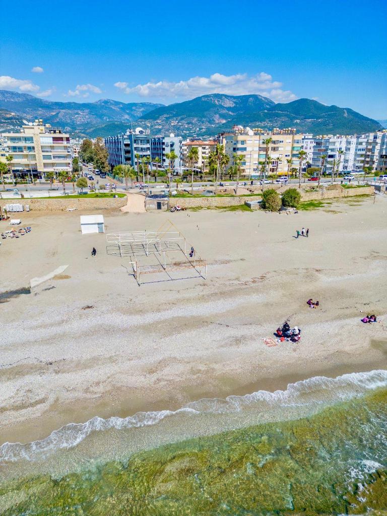 WhatsApp Image 2026-04-05 at 11.57.18 (2)